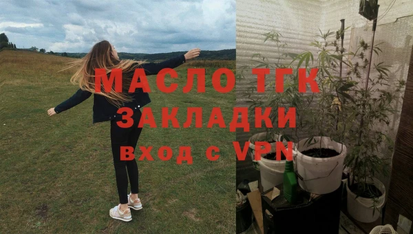 дмт Гусь-Хрустальный